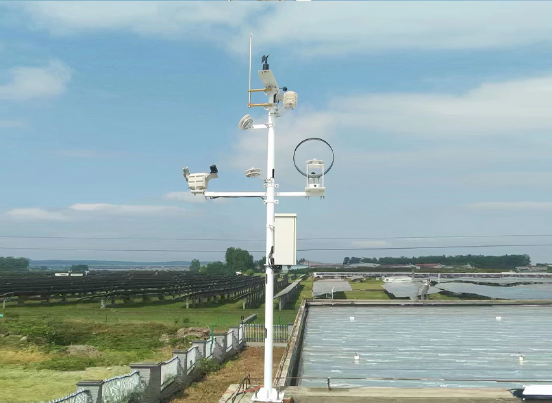 一村九園3.png 一村九園3.png