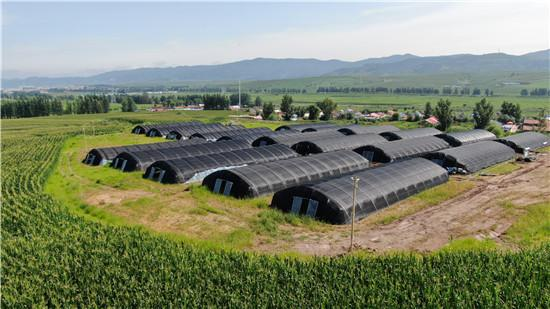 大同智慧農(nóng)業(yè) 大同智慧農(nóng)業(yè)