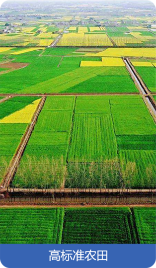 高標(biāo)準(zhǔn)農(nóng)田.png