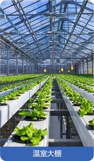 溫室大棚.png